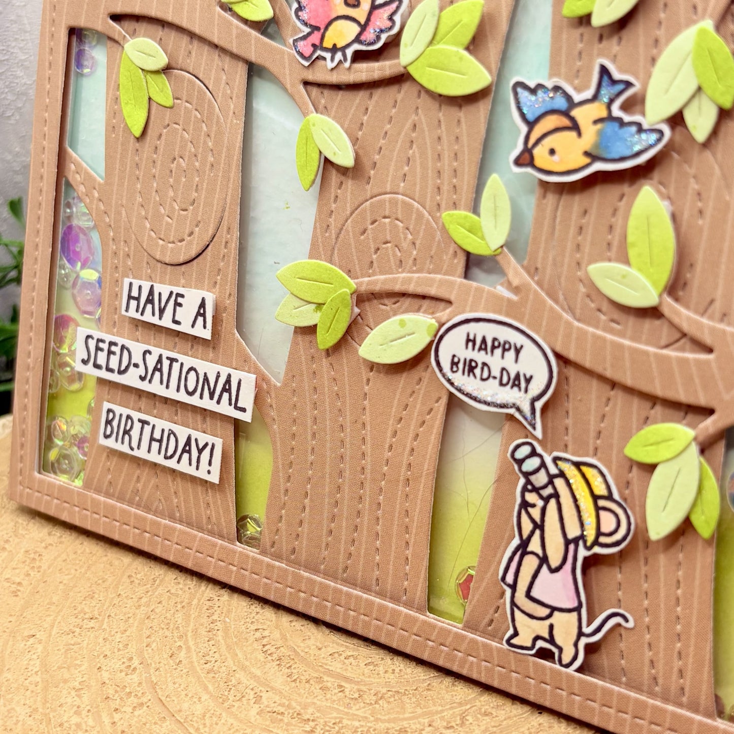Have A Seed-sational Birthday Handmade Birthday Card-2
