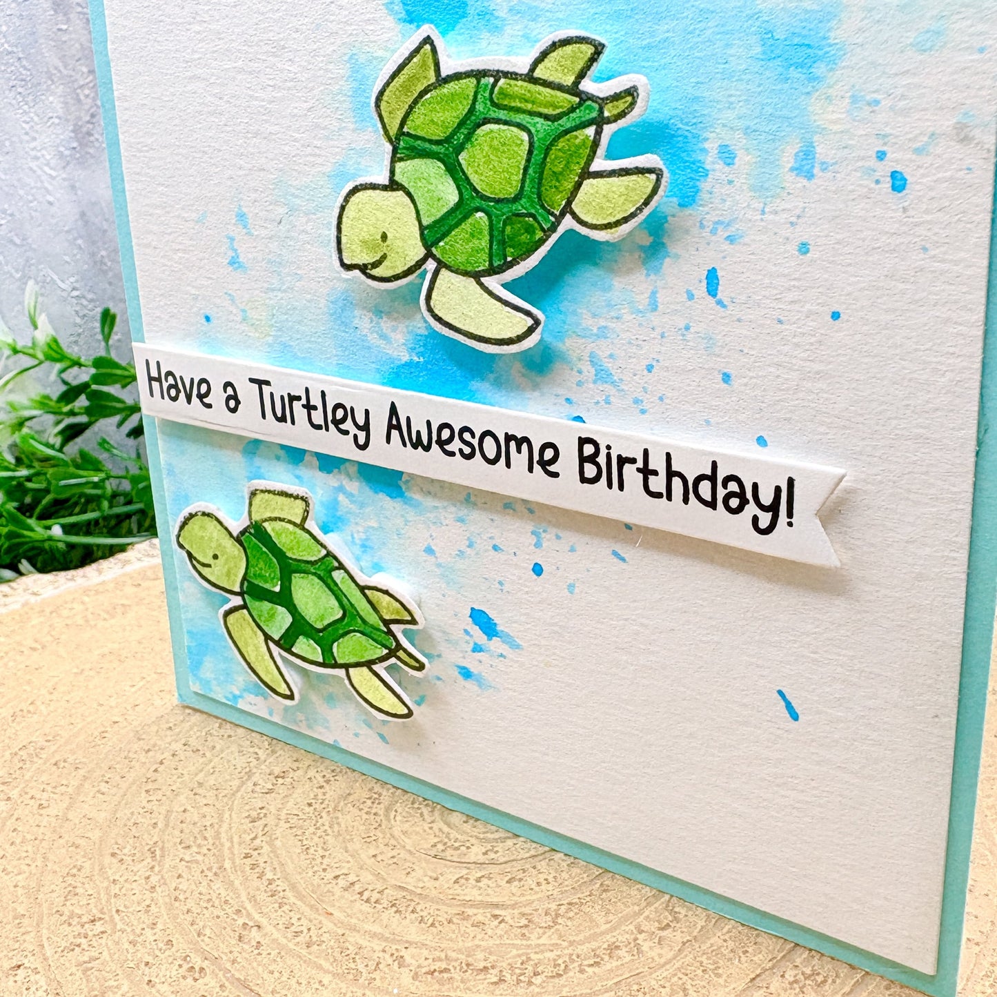 Have A Turtley Awesome Birthday Handmade Card-2