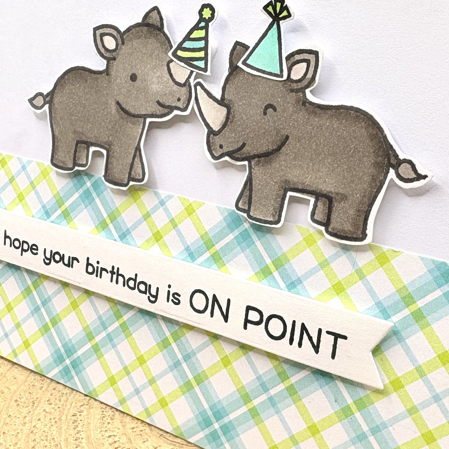 Two rhinoceros illustrations with party hats on a checkered background with text 'hope your birthday is ON POINT'.