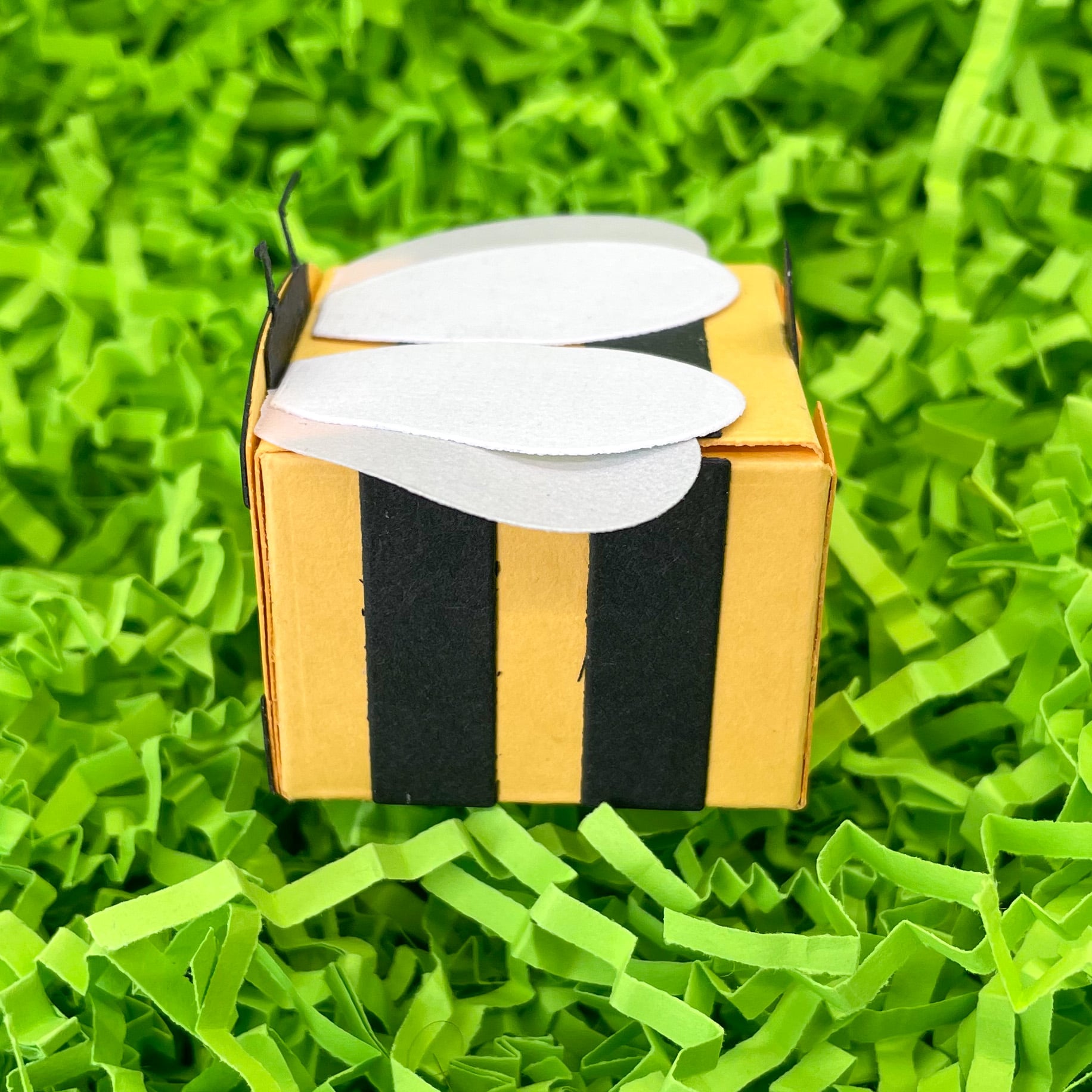 Cute Bumblebee Miniature Gift Box
