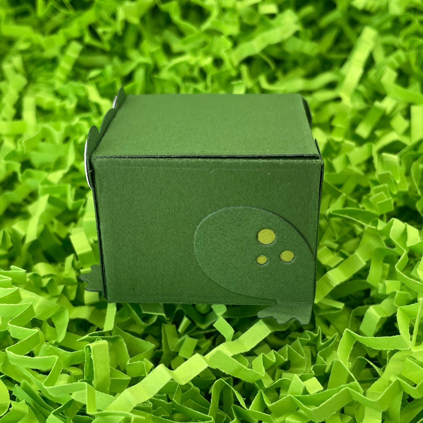 Cute Frog Miniature Gift Box