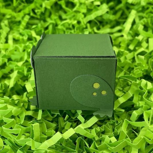 Cute Frog Miniature Gift Box
