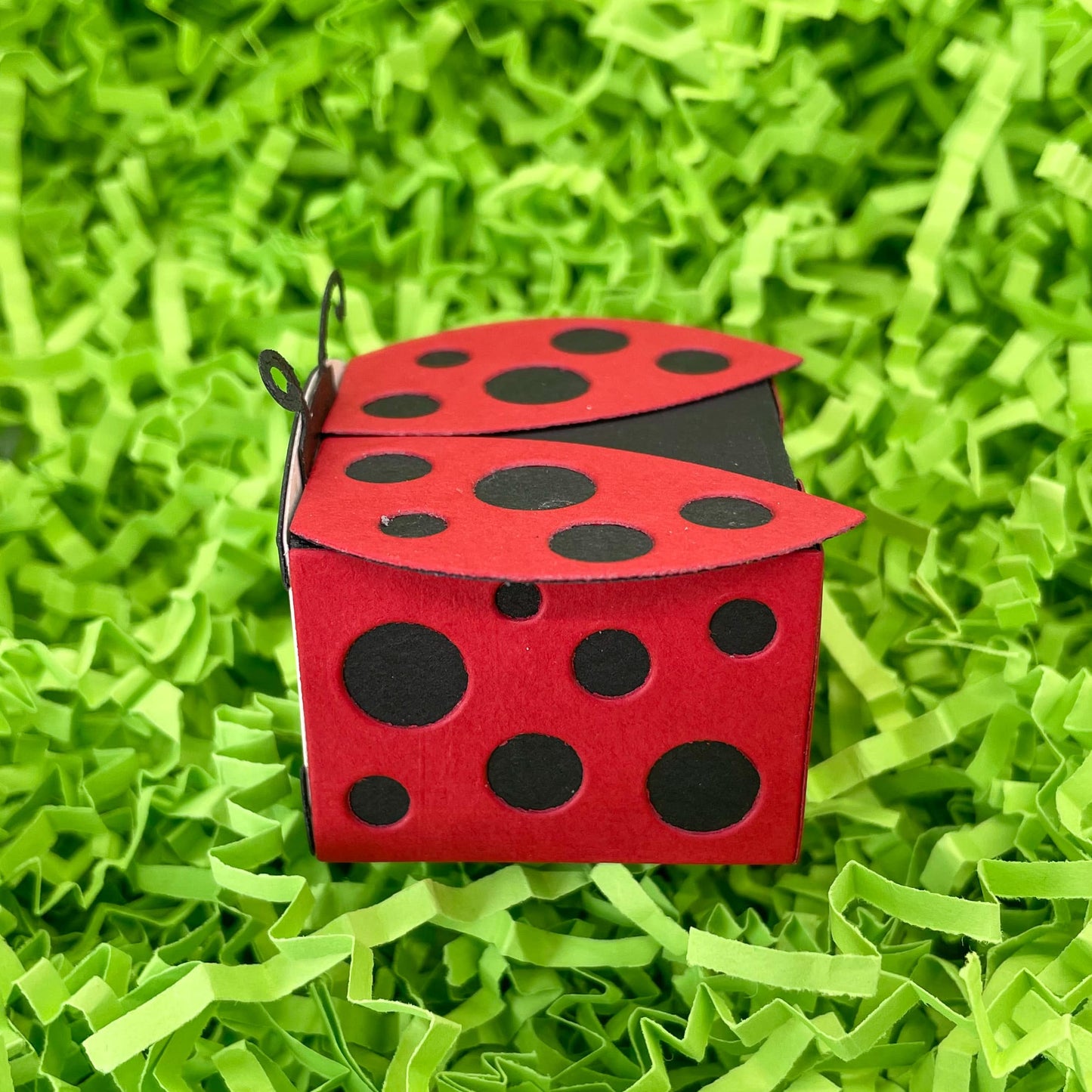 Cute Ladybug Miniature Gift Box