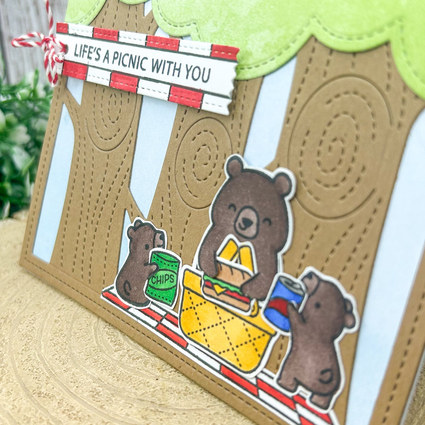Bear Trio Life's A Picnic With You Handmade Card-2
