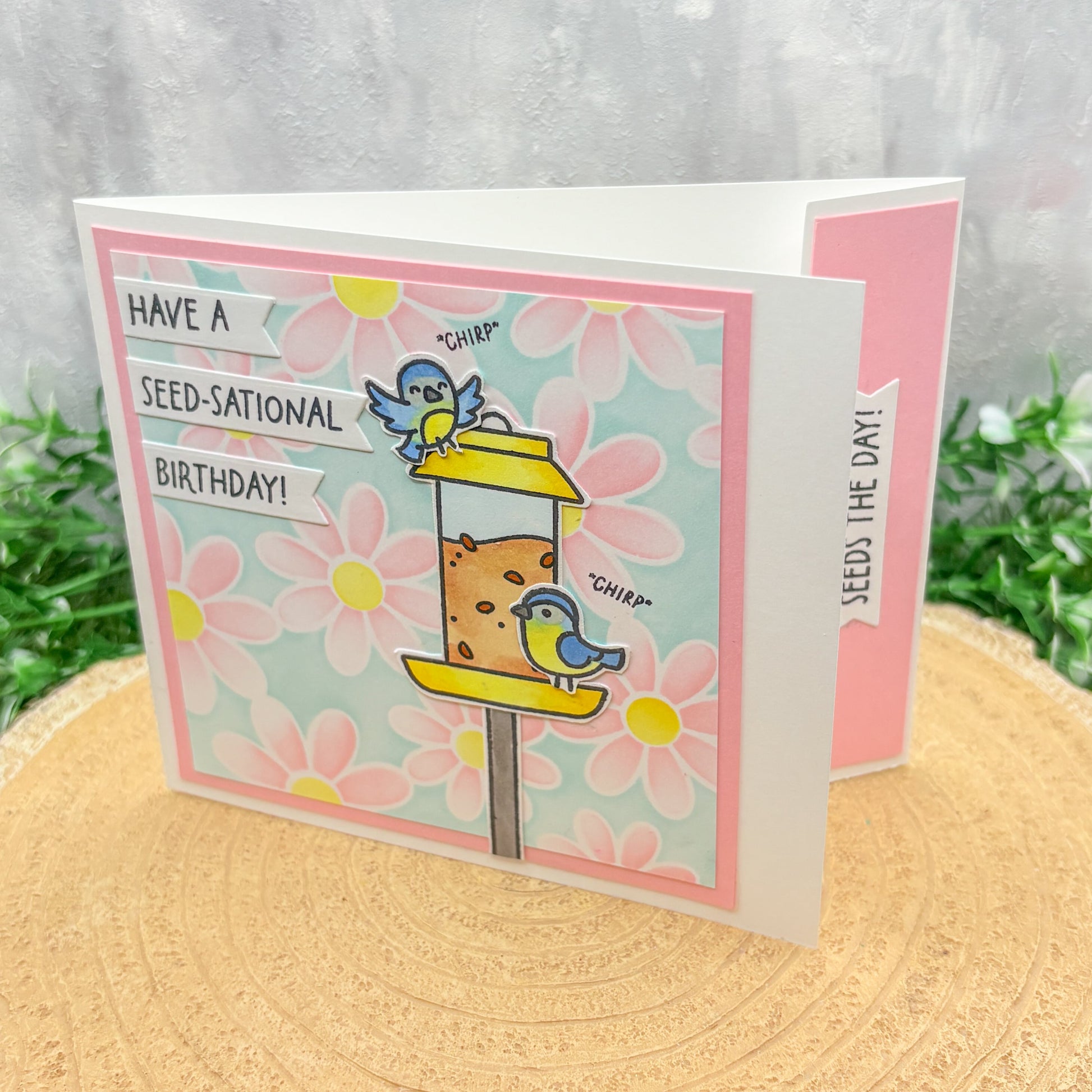 Birds Feeding Seed-sational Handmade Birthday Card-1