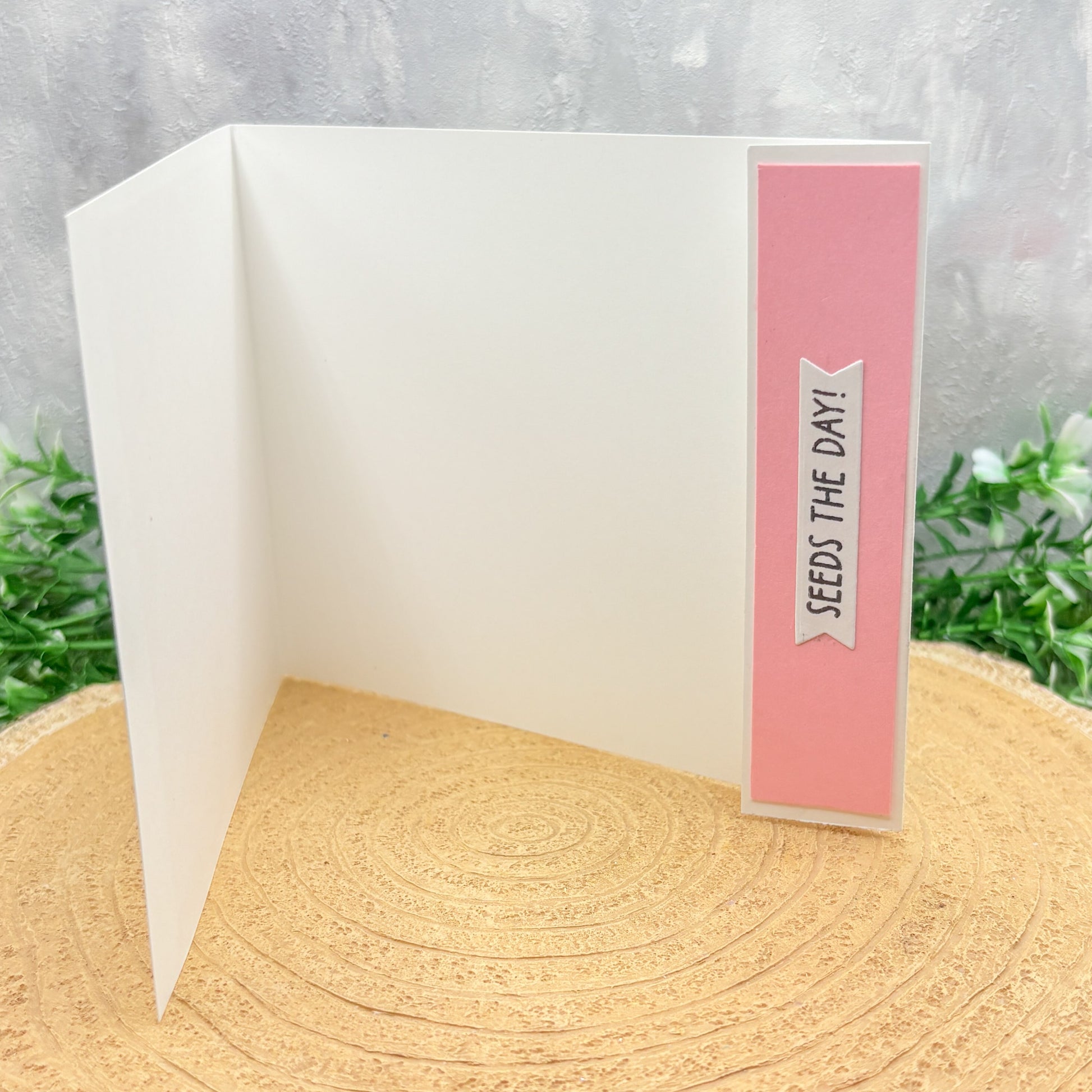 Birds Feeding Seed-sational Handmade Birthday Card-2
