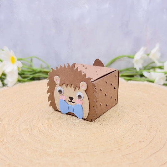 Boy Hedgehog Miniature Gift Box
