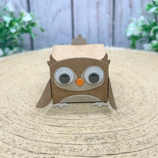 Brown Owl Miniature Gift Box-1