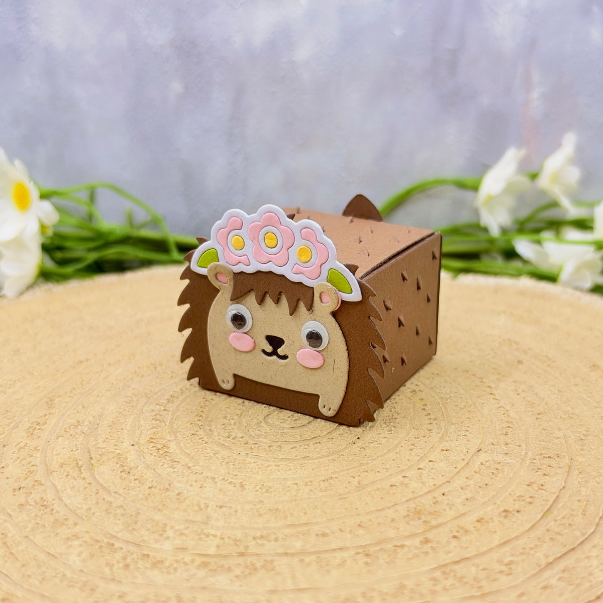 Girl Hedgehog Miniature Gift Box