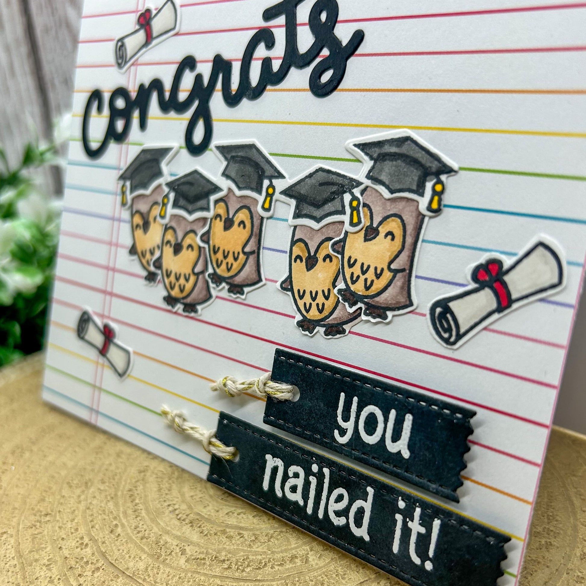 Owls Congrats You Nailed It! Handmade Graduation Card-2