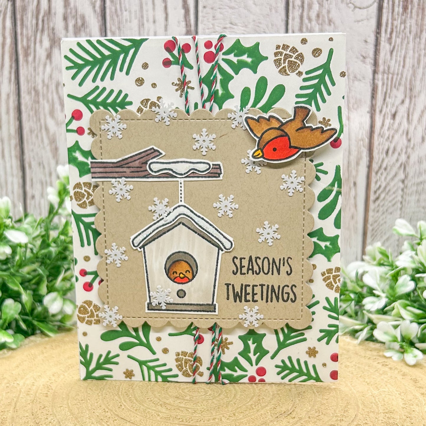 Season's Tweetings Robins Handmade Christmas Card