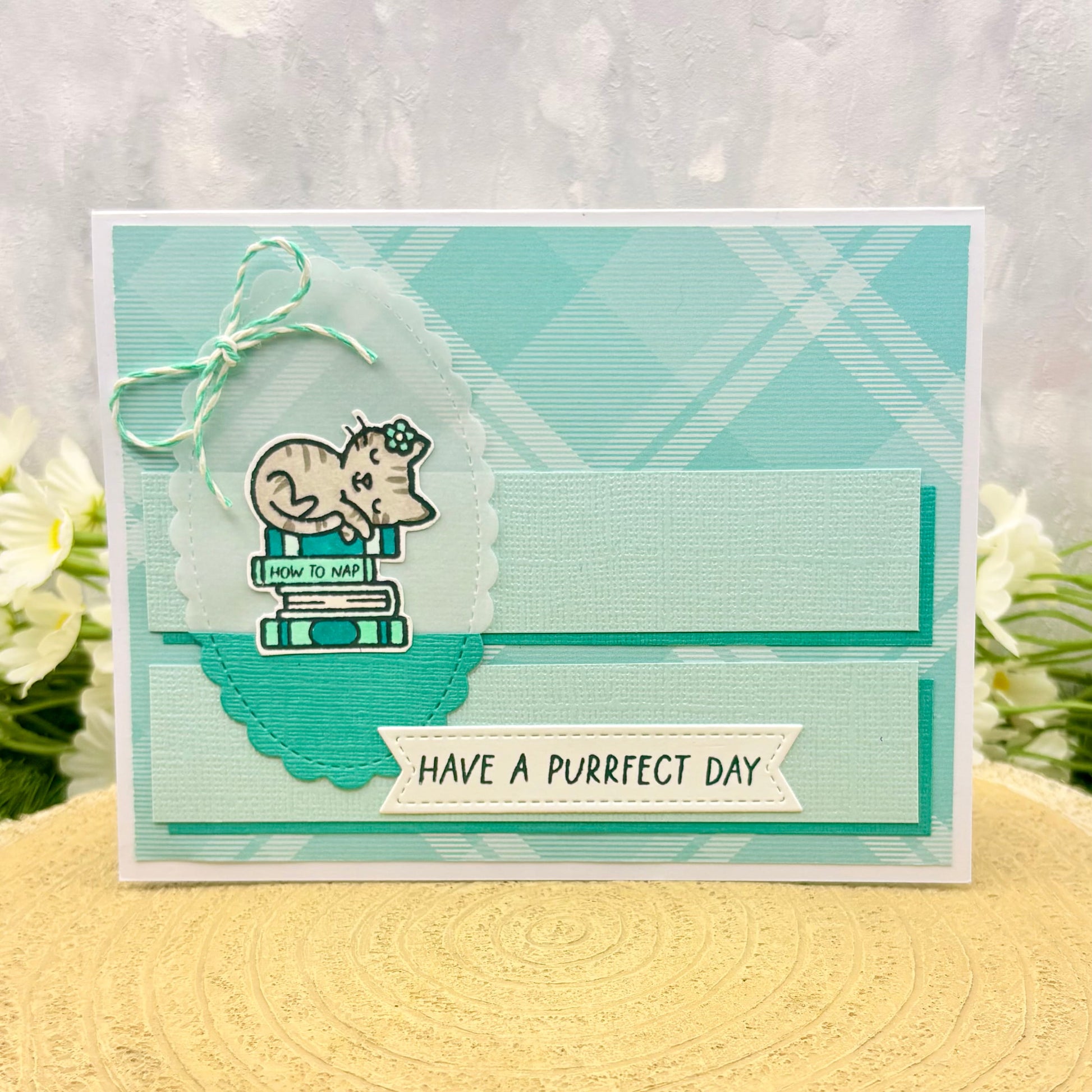 Sleeping Cat Have A Purrfect Day Handmade Birthday Card
