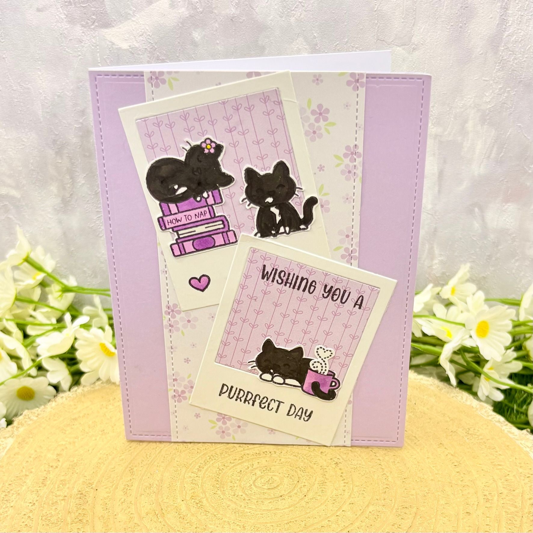Tuxedo Cat Trio Purrrfect Handmade Birthday Card-1