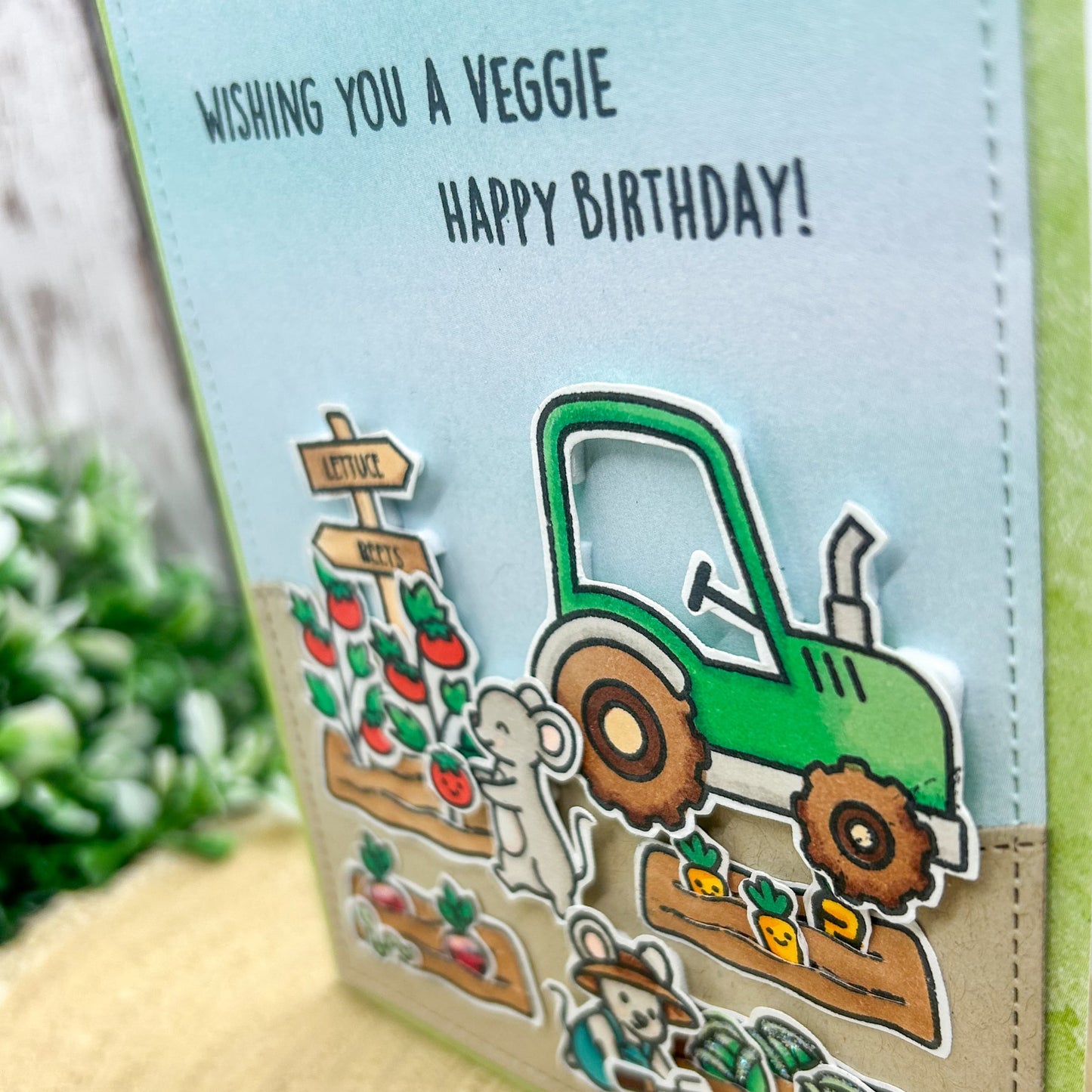 Veggie Happy Birthday Handmade Birthday Card-2