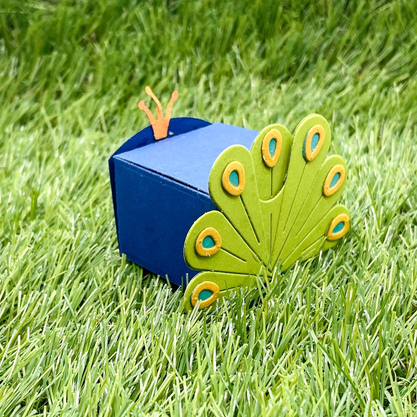 Cute Peacock Miniature Gift Box