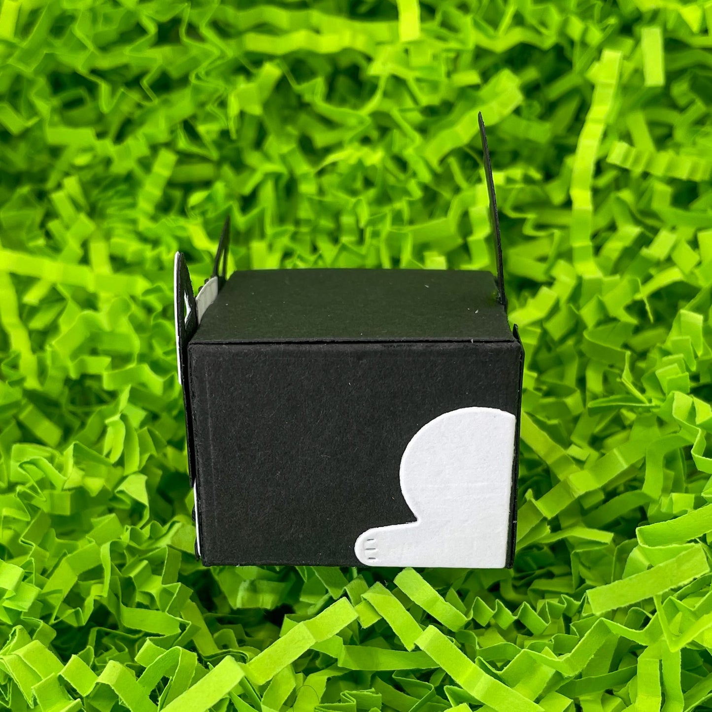 Cute Black & White Cat Miniature Gift Box