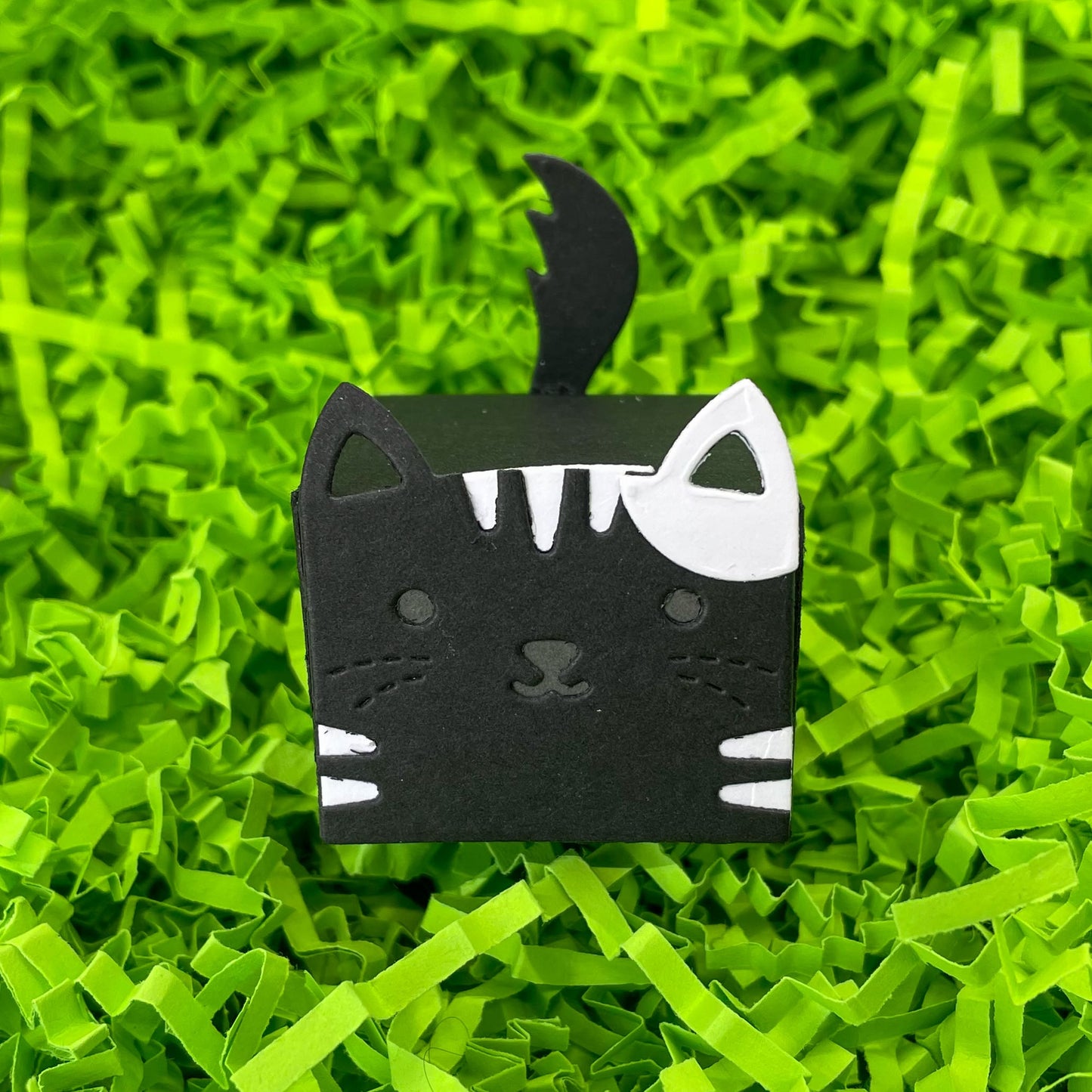 Cute Black & White Cat Miniature Gift Box
