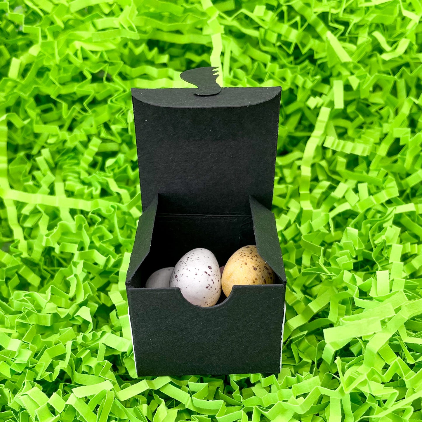 Cute Black & White Cat Miniature Gift Box
