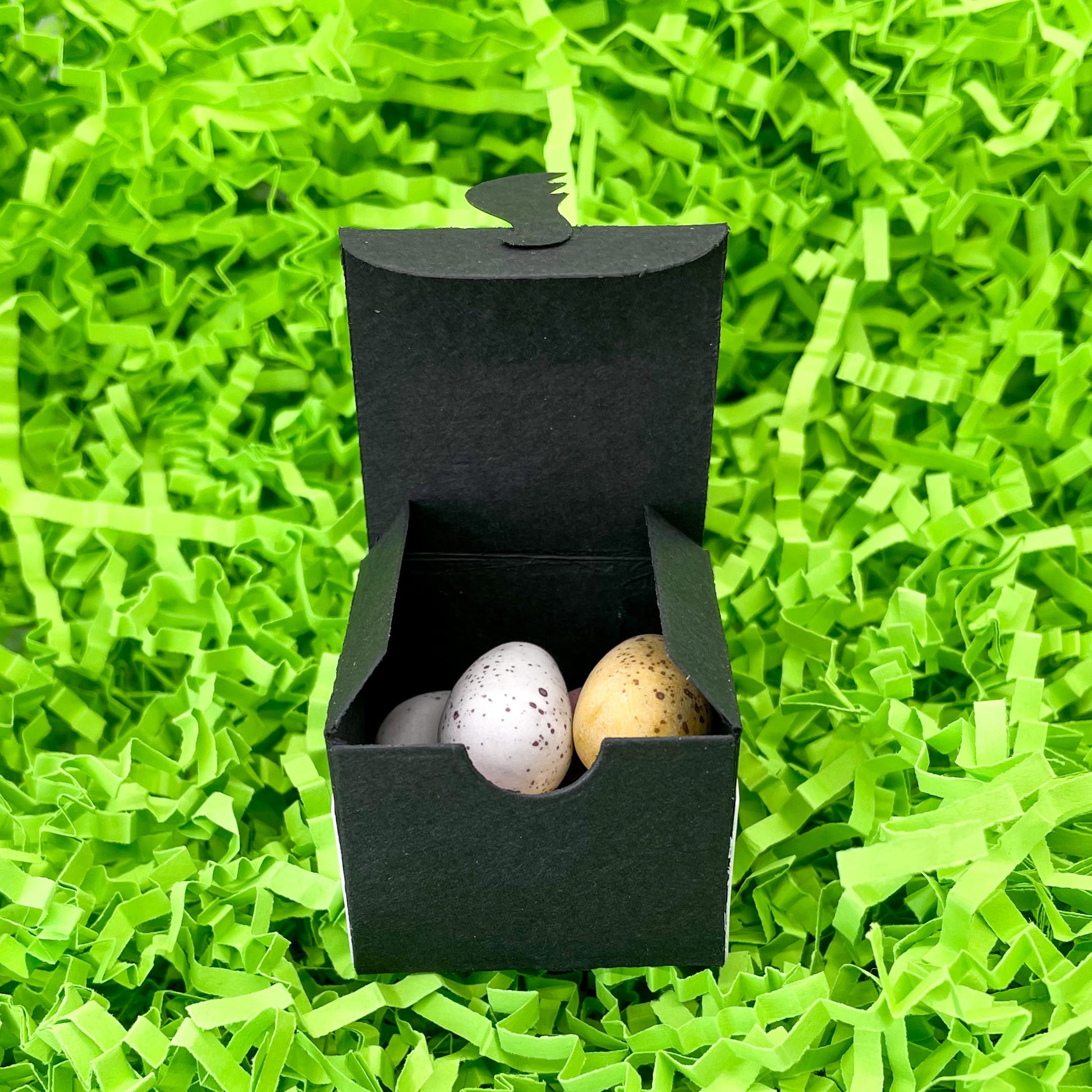 Cute Black & White Cat Miniature Gift Box