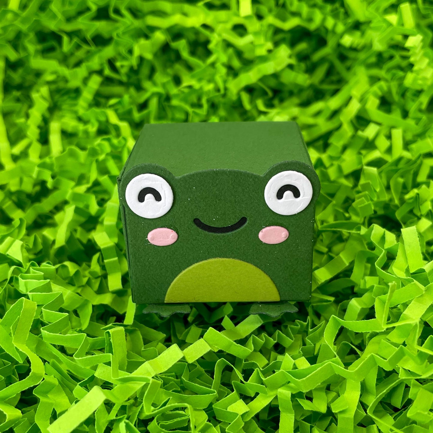 Cute Frog Miniature Gift Box