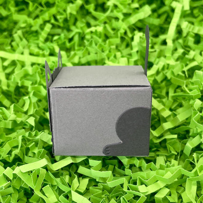 Cute Grey Cat Miniature Gift Box