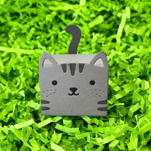 Cute Grey Cat Miniature Gift Box