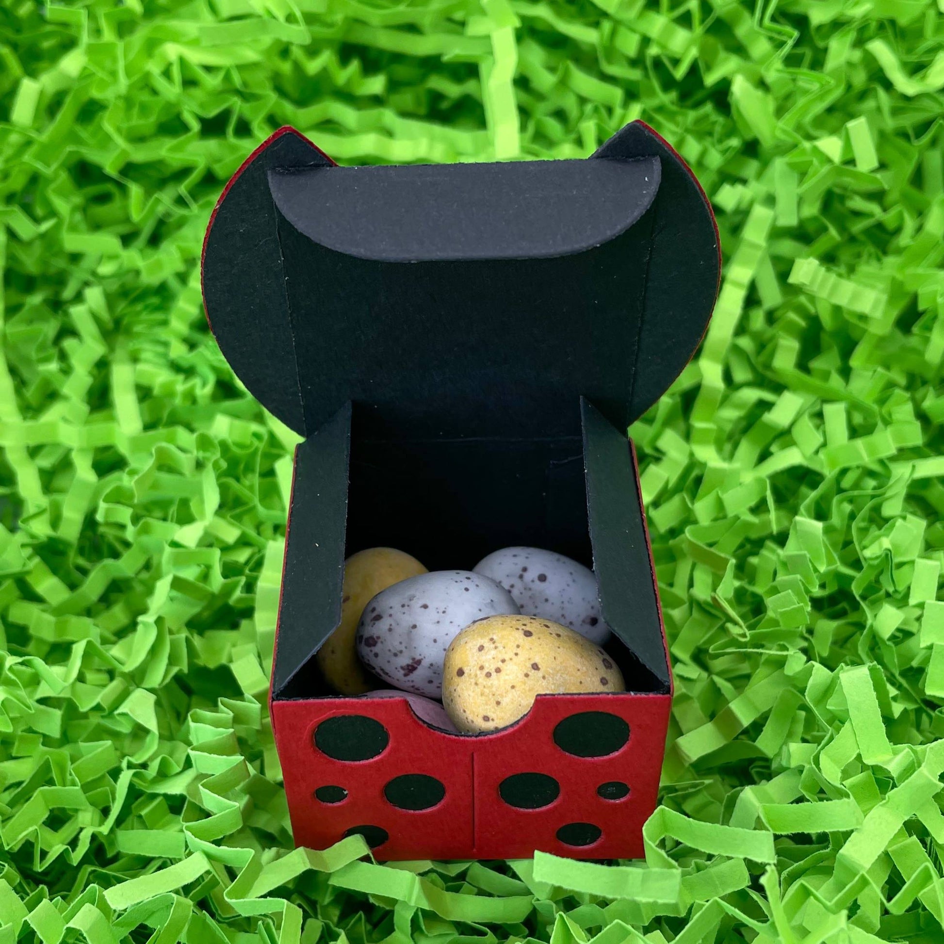 Cute Ladybug Miniature Gift Box