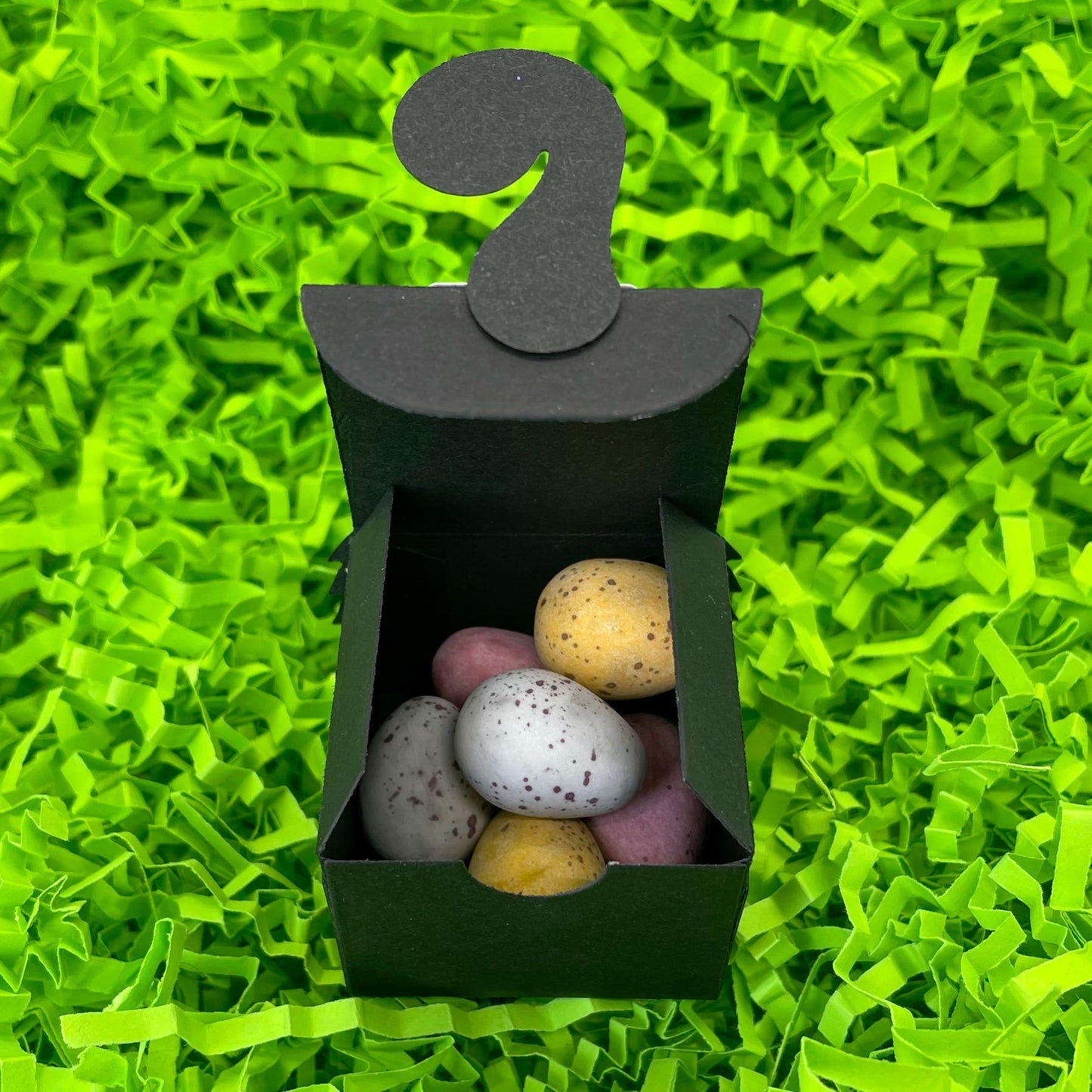 Cute Skunk Miniature Gift Box