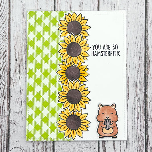 So Hamsterrific Handmade Card